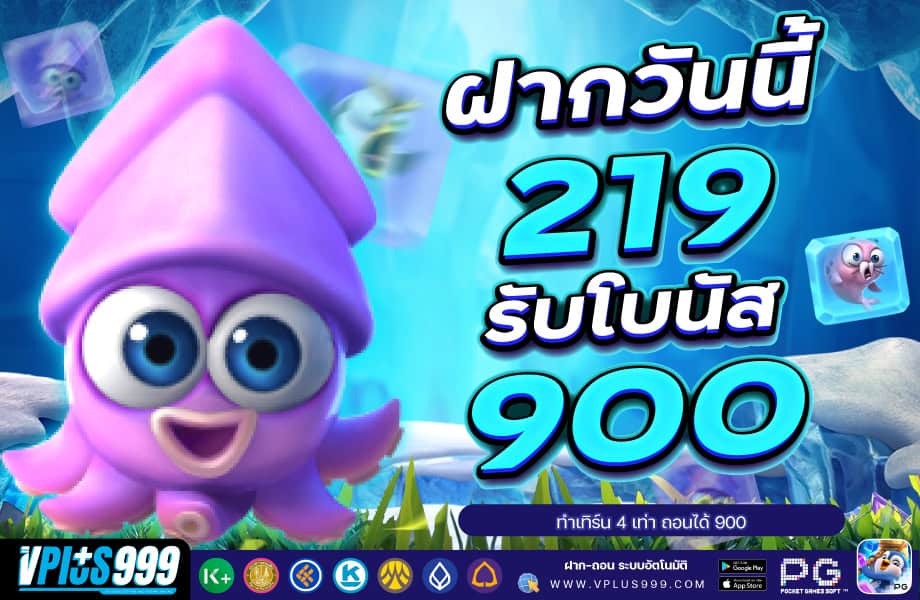 219-900-920-VP999